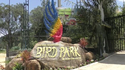 Endemic Sri Lankan birds including Spurfowl and Junglefowl at Hanthana Bird Park Kandy