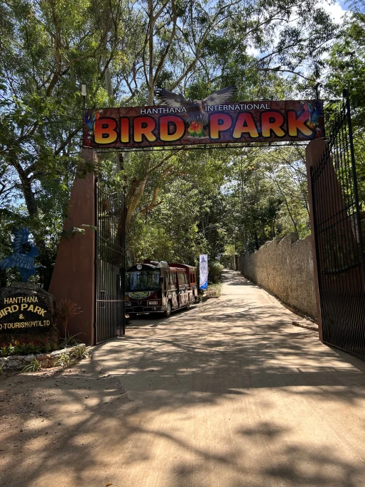 Rare endemic bird species at Hanthana Bird Park Kandy natural habitat