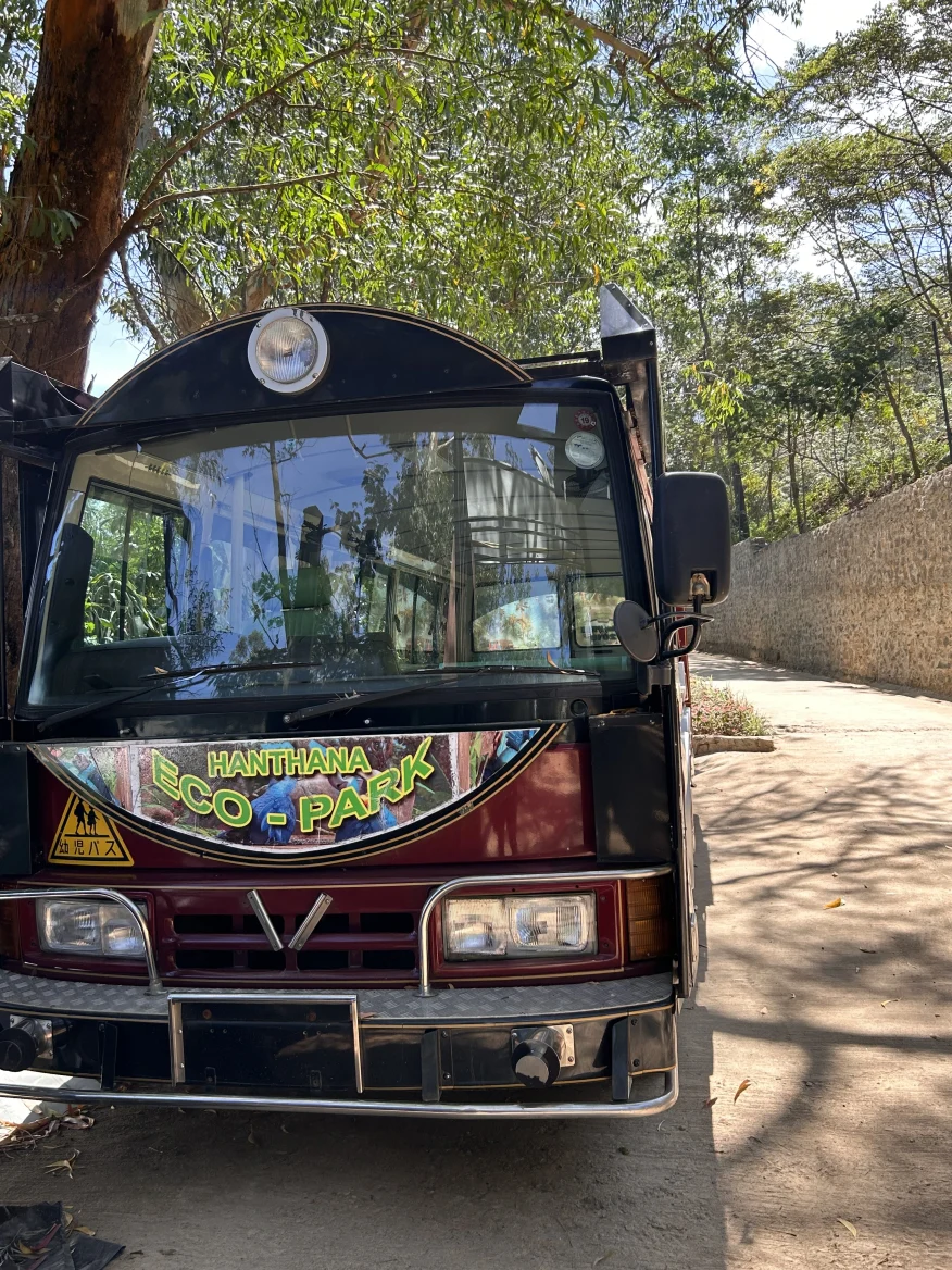 Bird watching and wildlife interaction at Hanthana Bird Park Kandy Sri Lanka