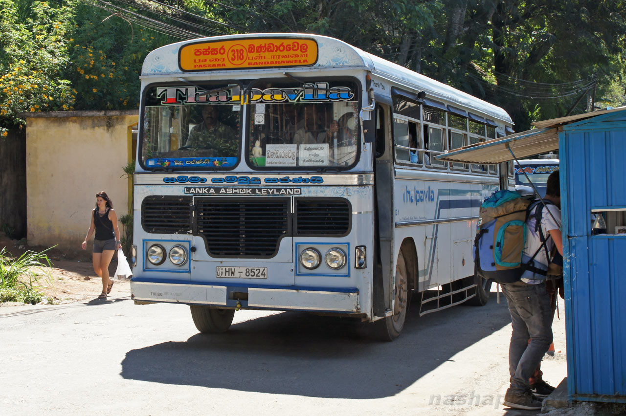Nuwaraeliya to Ella 2