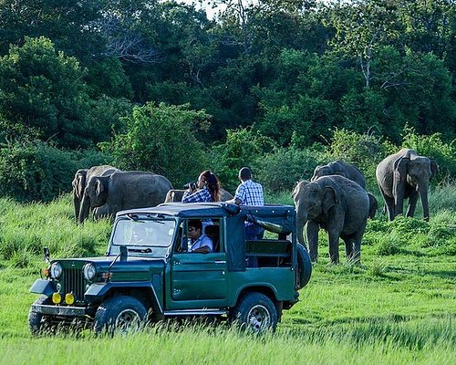Kandy to Ella